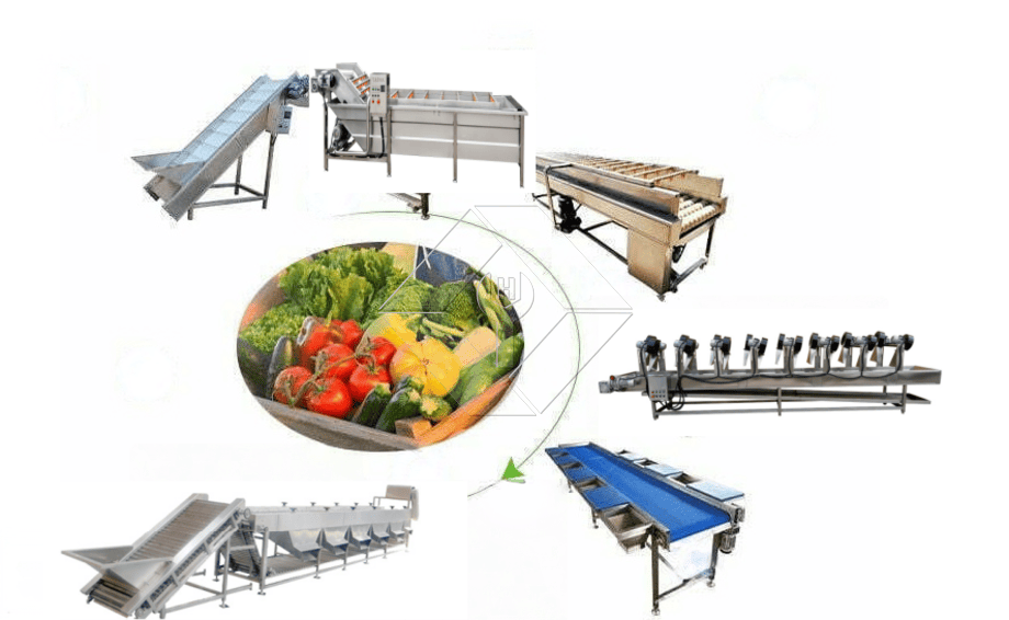 The Processing Capacity of Automatic Fruit and Vegetable Washing and Drying and Grading Line is Generally Between 300kg/H and 3000kg/H. The Processing Capacity of Automatic Fruit and Vegetable Washing and Drying and Grading Line is Generally Between 300kg/H and 3000kg/H.