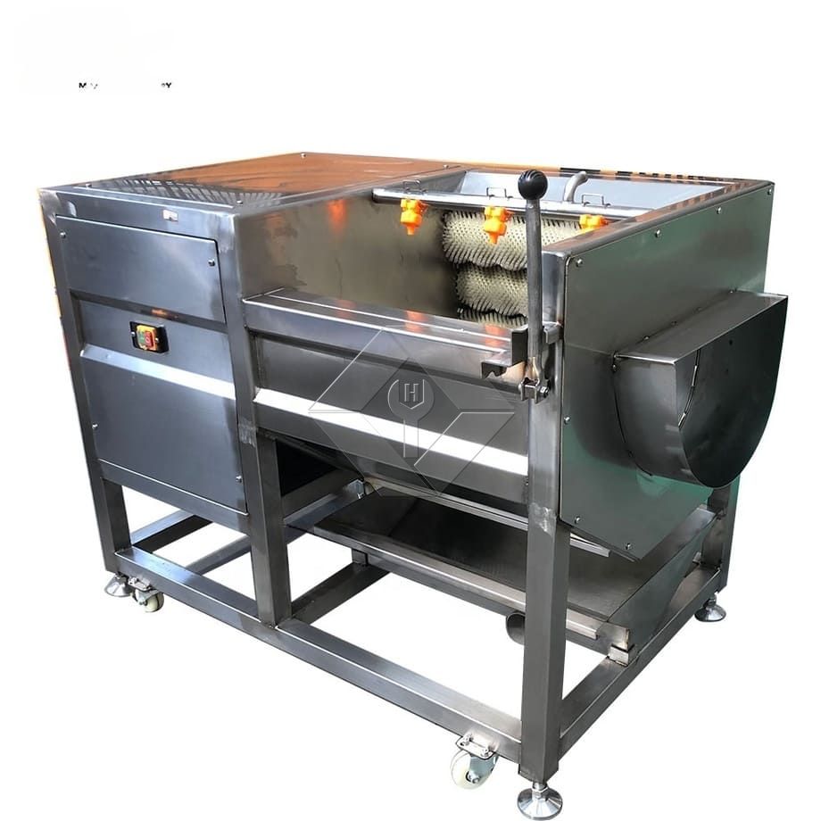 Potato Ginger Fruit Roller Washer Cleaner