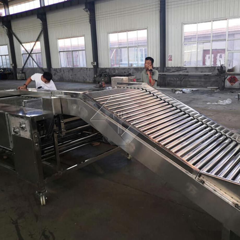 The Processing Capacity of Automatic Fruit and Vegetable Washing and Drying and Grading Line is Generally Between 300kg/H and 3000kg/H. The Processing Capacity of Automatic Fruit and Vegetable Washing and Drying and Grading Line is Generally Between 300kg/H and 3000kg/H.