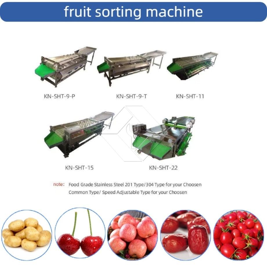 Commercial Automatic Sorting Grading Machine Cherry Tomato Garlic Sorting Grading Machine Fruit Classifying Sorter Machine