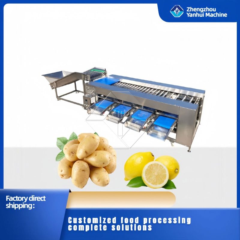 Vegetable/fruit Sorting Machine