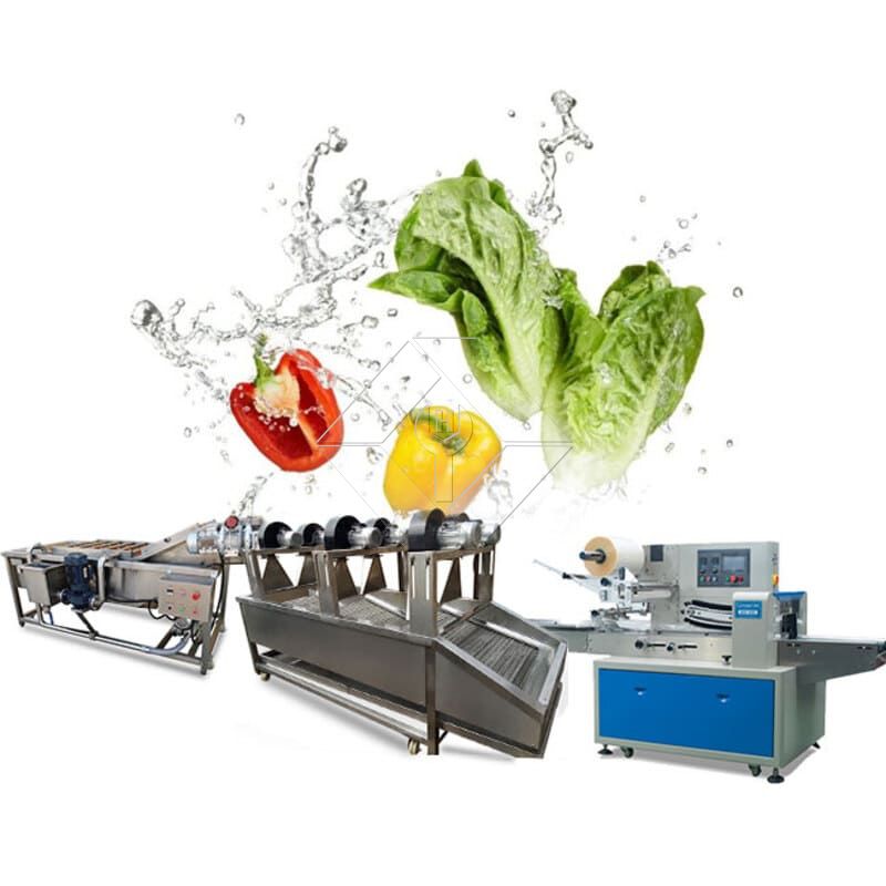 Vegetable Salad Production Line | Lettuce Processing Plant