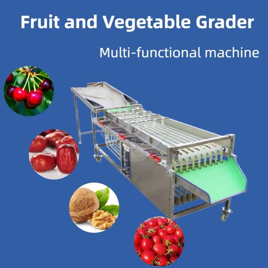 Vegetable/fruit Sorting Machine Potato Tomato Garlic Chili Pepper Onion Carrot Cucumber Mushroom Grading Machine