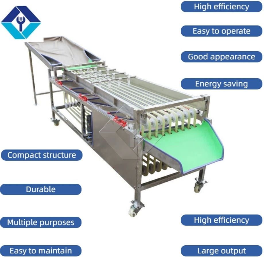 Commercial Automatic Sorting Grading Machine Cherry Tomato Garlic Sorting Grading Machine Fruit Classifying Sorter Machine