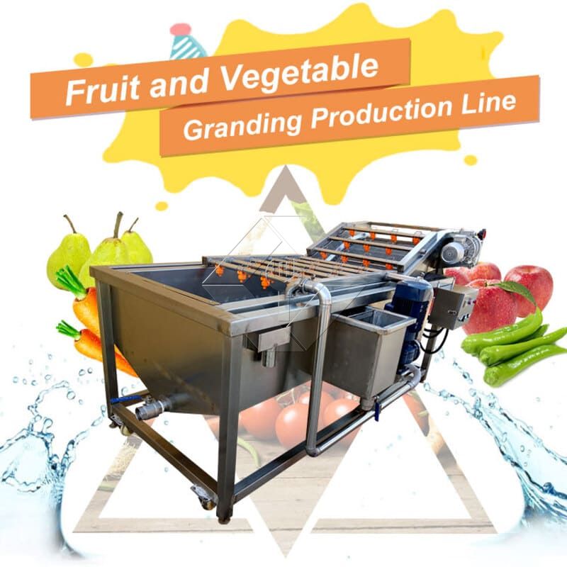 Vegetable Salad Production Line | Lettuce Processing Plant