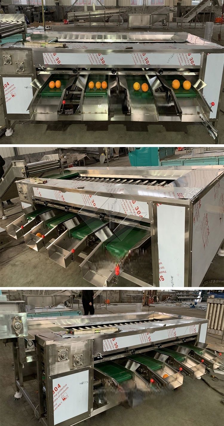 Vegetable/fruit Sorting Machine