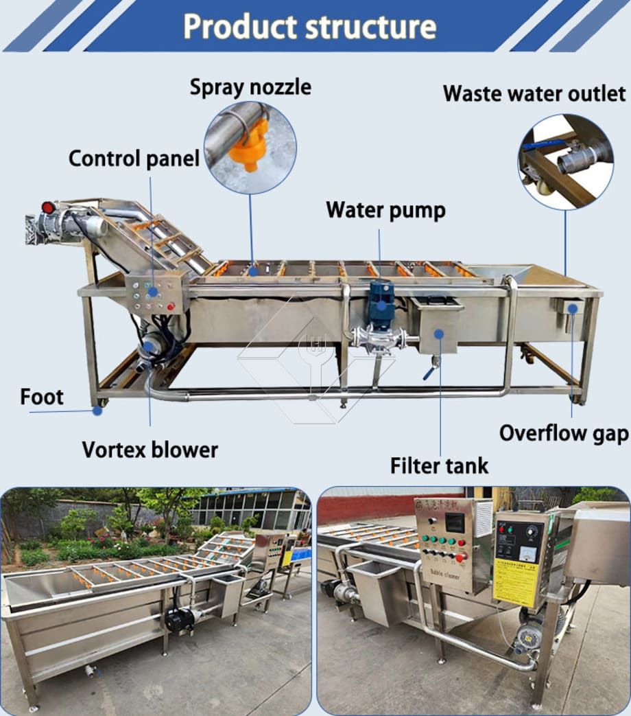 Fruit and Vegetable Washer Conveyor | Bubble Washing Machine for Efficient Produce Cleaning
