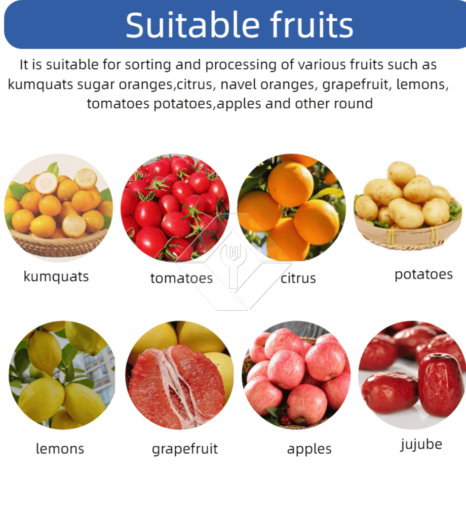 Commercial Automatic Sorting Grading Machine Cherry Tomato Garlic Sorting Grading Machine Fruit Classifying Sorter Machine