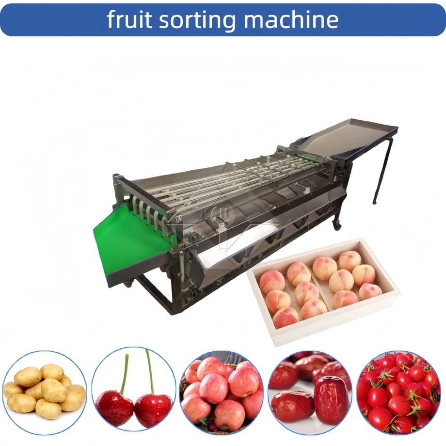 Commercial Automatic Sorting Grading Machine Cherry Tomato Garlic Sorting Grading Machine Fruit Classifying Sorter Machine