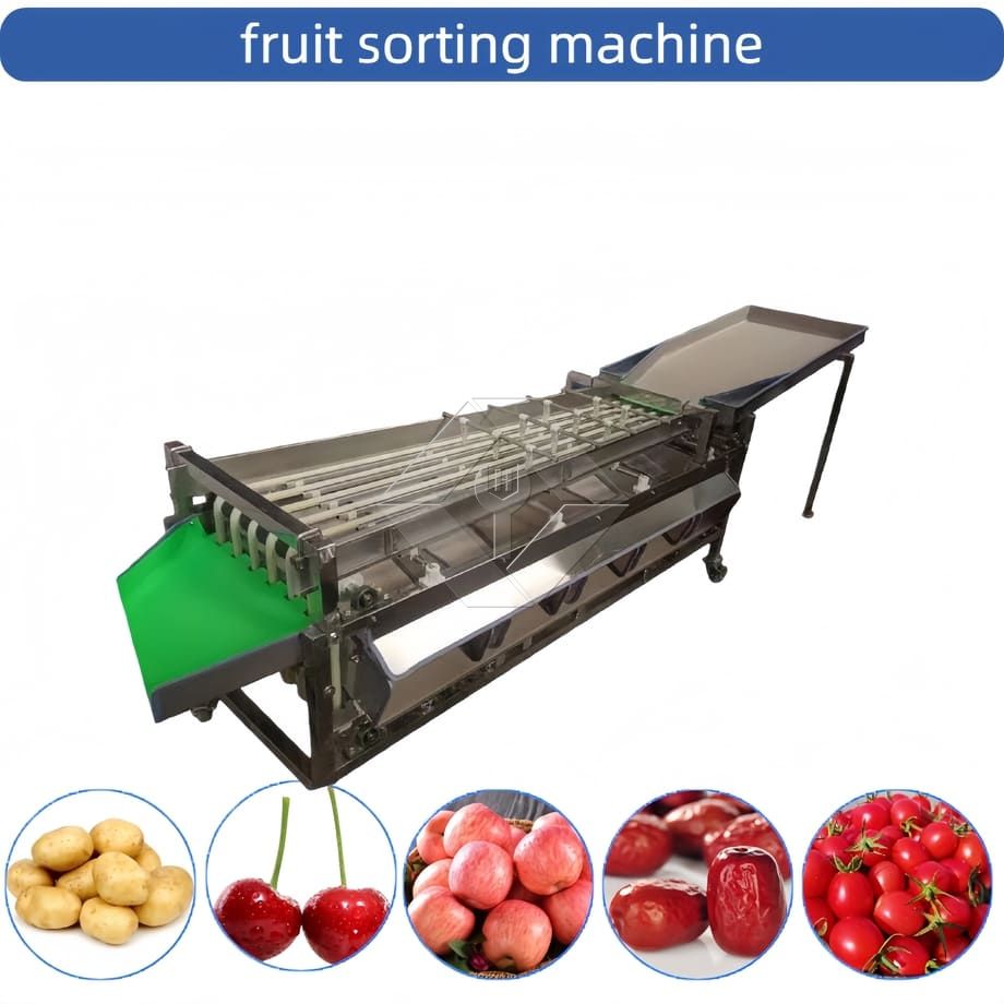 Commercial Automatic Sorting Grading Machine Cherry Tomato Garlic Sorting Grading Machine Fruit Classifying Sorter Machine
