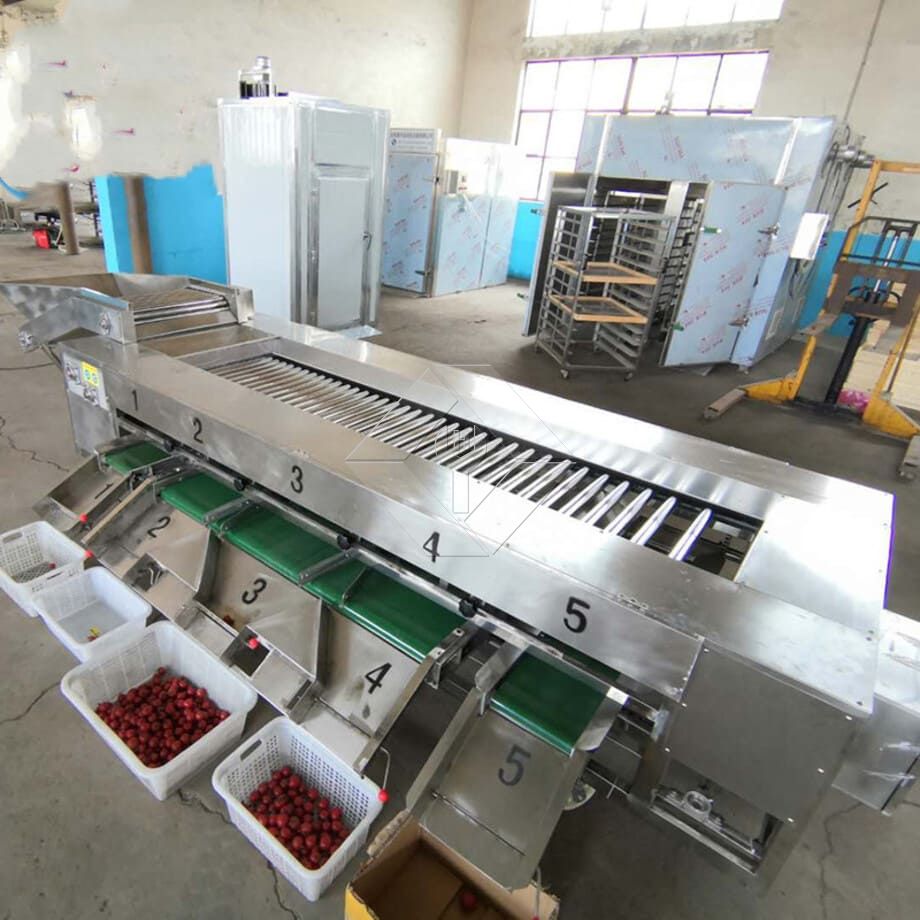 The Processing Capacity of Automatic Fruit and Vegetable Washing and Drying and Grading Line is Generally Between 300kg/H and 3000kg/H. The Processing Capacity of Automatic Fruit and Vegetable Washing and Drying and Grading Line is Generally Between 300kg/H and 3000kg/H.
