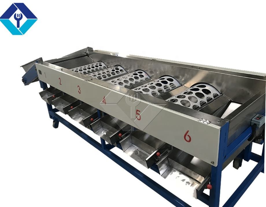 The Processing Capacity of Automatic Fruit and Vegetable Washing and Drying and Grading Line is Generally Between 300kg/H and 3000kg/H.