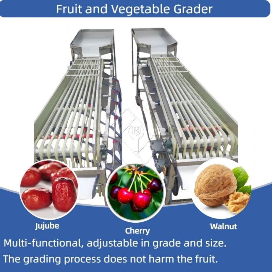 Commercial Automatic Sorting Grading Machine Cherry Tomato Garlic Sorting Grading Machine Fruit Classifying Sorter Machine