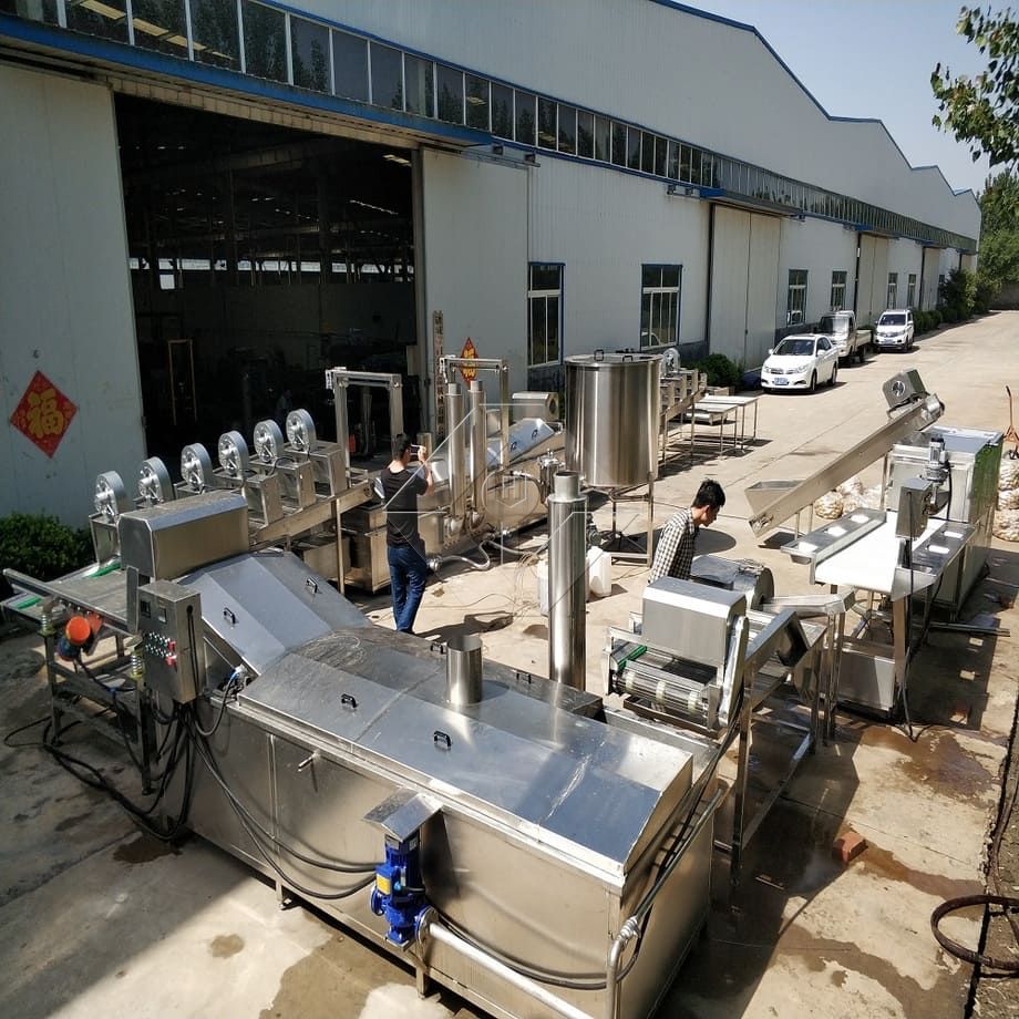 Factory Price 100-1000kg Automatic Frozen French Fries Potato Chips Making Machine Production Line for Sale