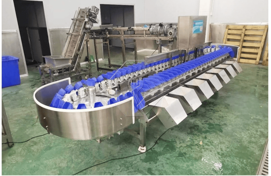 The Processing Capacity of Automatic Fruit and Vegetable Washing and Drying and Grading Line is Generally Between 300kg/H and 3000kg/H. The Processing Capacity of Automatic Fruit and Vegetable Washing and Drying and Grading Line is Generally Between 300kg/H and 3000kg/H.