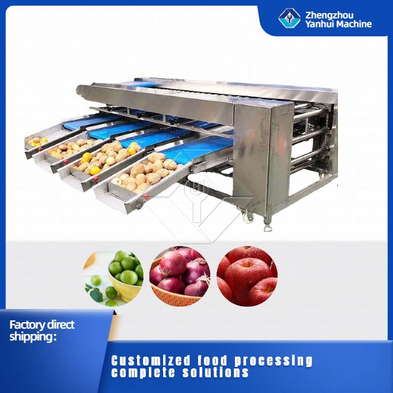 Vegetable/fruit Sorting Machine