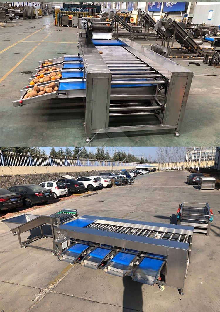 Vegetable/fruit Sorting Machine