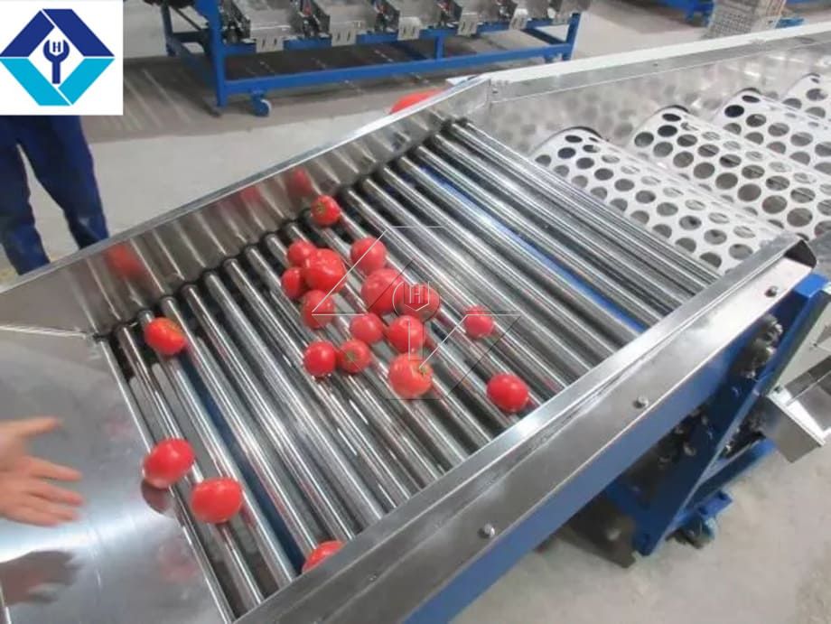 The Processing Capacity of Automatic Fruit and Vegetable Washing and Drying and Grading Line is Generally Between 300kg/H and 3000kg/H. The Processing Capacity of Automatic Fruit and Vegetable Washing and Drying and Grading Line is Generally Between 300kg/H and 3000kg/H.