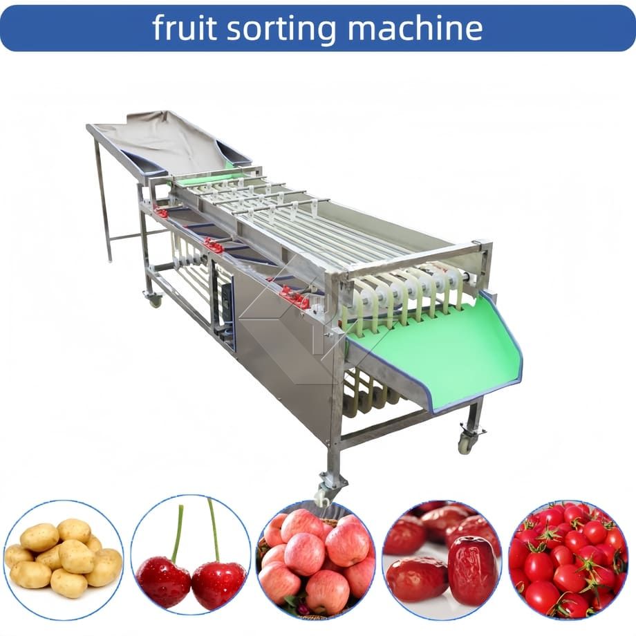 Commercial Automatic Sorting Grading Machine Cherry Tomato Garlic Sorting Grading Machine Fruit Classifying Sorter Machine