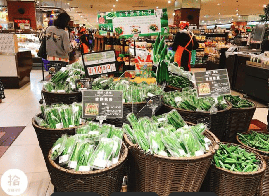 Vegetable Salad Production Line | Lettuce Processing Plant Vegetable Salad Production Line | Lettuce Processing Plant