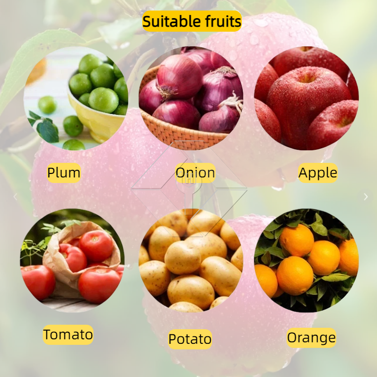 Vegetable/fruit Sorting Machine