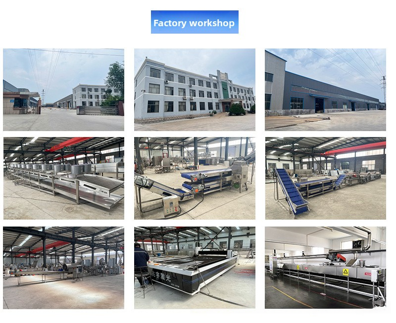 Automatic Fried Snack Donuts Potato Chips Fried Chicken Fryer Supplier