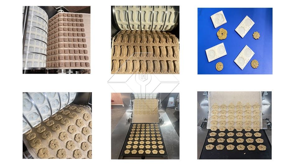 Walnut Cake Roll Forming Machine Peach Crisp Biscuit Italy Cookies Making Machine Oat Cookies Making Forming Machine Walnut Cake Roll Forming Machine Peach Crisp Biscuit Italy Cookies Making Machine Oat Cookies Making Forming Machine