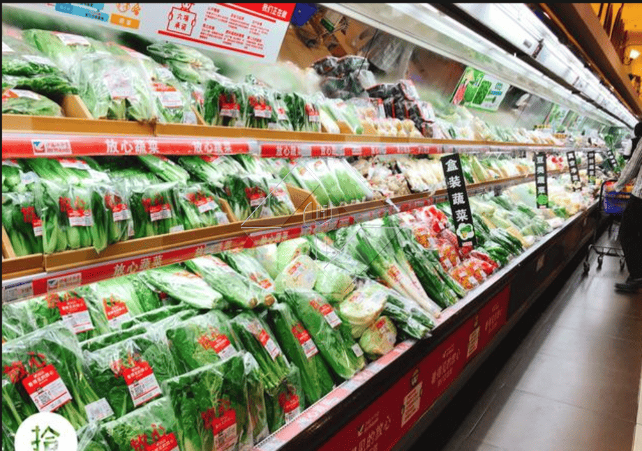 Vegetable Salad Production Line | Lettuce Processing Plant Vegetable Salad Production Line | Lettuce Processing Plant