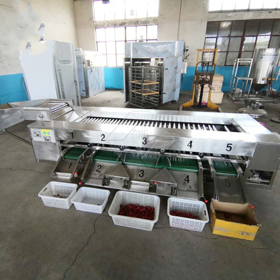 The Processing Capacity of Automatic Fruit and Vegetable Washing and Drying and Grading Line is Generally Between 300kg/H and 3000kg/H. The Processing Capacity of Automatic Fruit and Vegetable Washing and Drying and Grading Line is Generally Between 300kg/H and 3000kg/H.