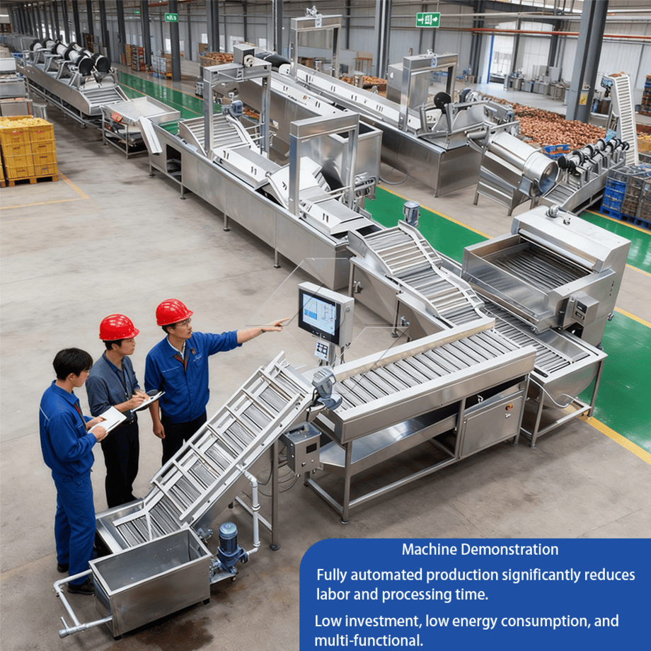 Automatic Large Scale Fried French Fries Potato Chips Making Machine Turkey Price Potato Fries Production Line