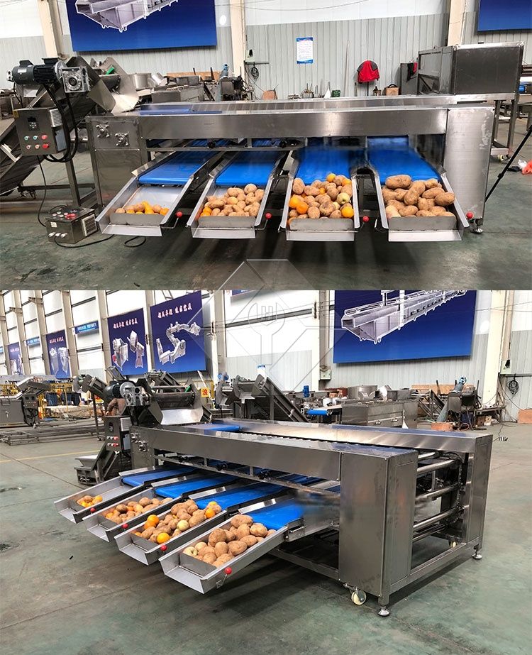 Vegetable/fruit Sorting Machine
