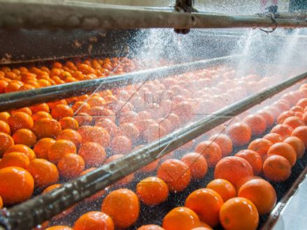 The Processing Capacity of Automatic Fruit and Vegetable Washing and Drying and Grading Line is Generally Between 300kg/H and 3000kg/H. The Processing Capacity of Automatic Fruit and Vegetable Washing and Drying and Grading Line is Generally Between 300kg/H and 3000kg/H.