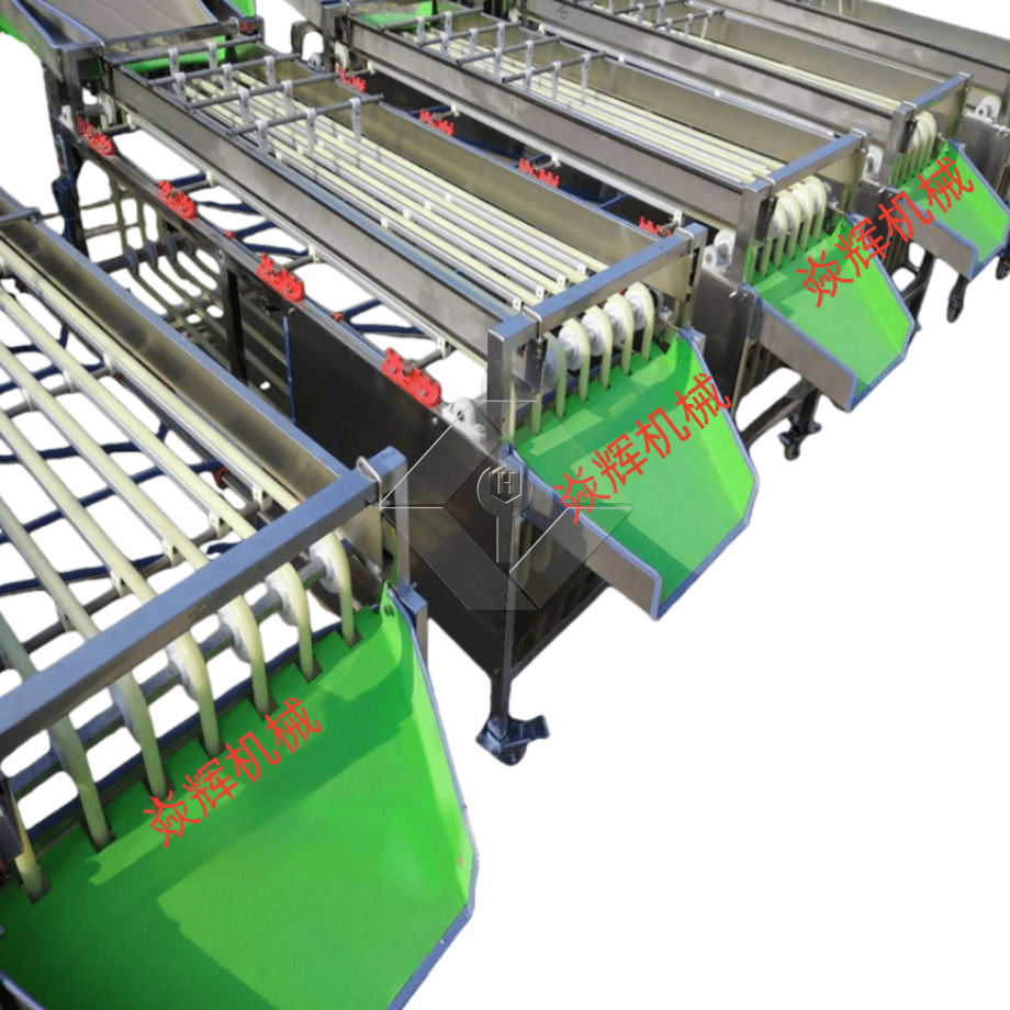 Commercial Automatic Sorting Grading Machine Cherry Tomato Garlic Sorting Grading Machine Fruit Classifying Sorter Machine