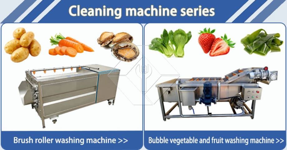 Fruit and Vegetable Washer Conveyor | Bubble Washing Machine for Efficient Produce Cleaning