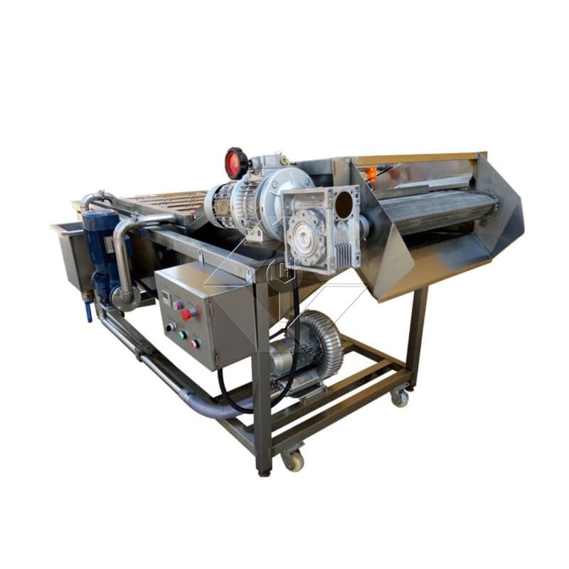 Vegetable Salad Production Line | Lettuce Processing Plant