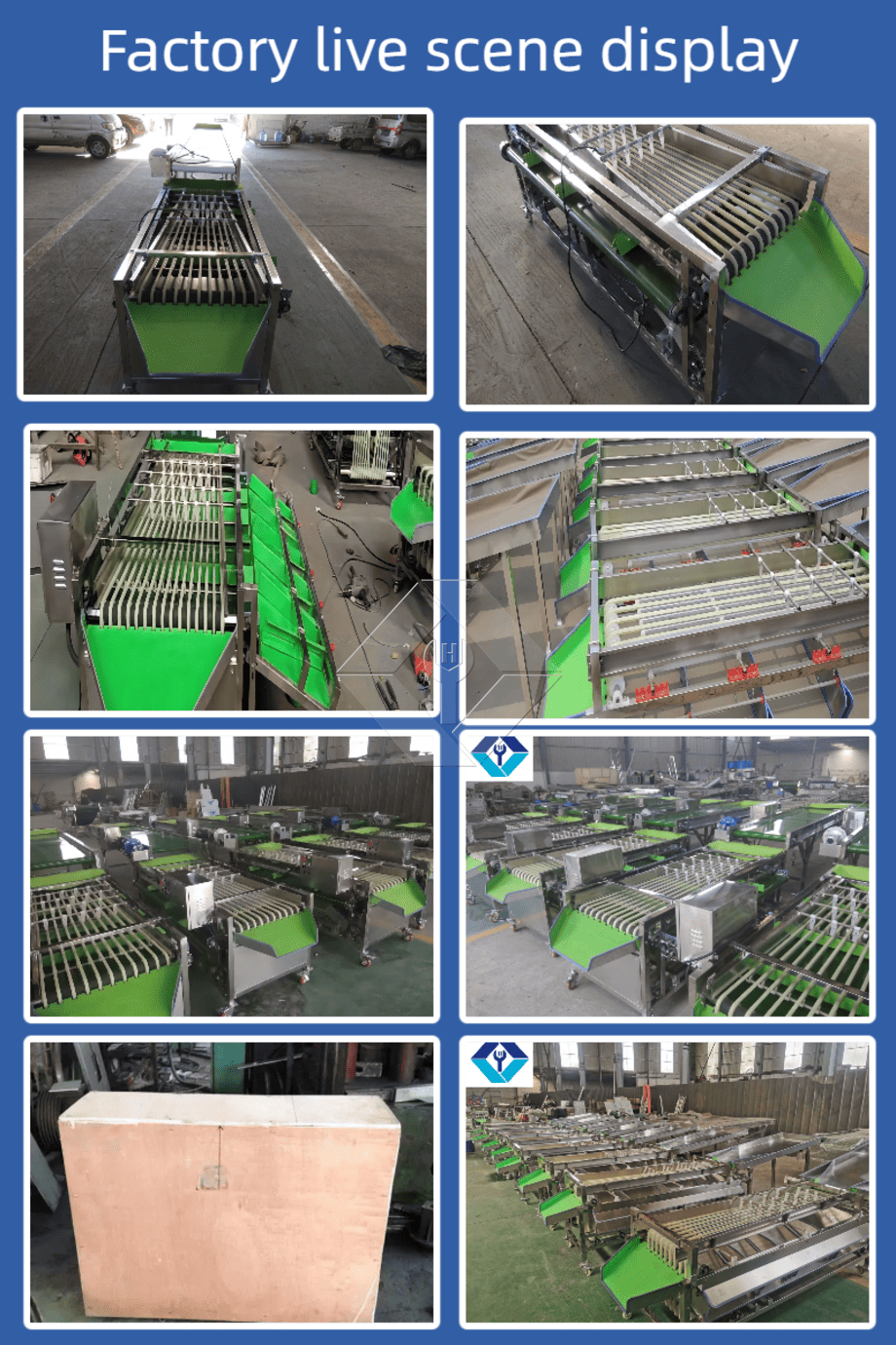 Commercial Automatic Sorting Grading Machine Cherry Tomato Garlic Sorting Grading Machine Fruit Classifying Sorter Machine