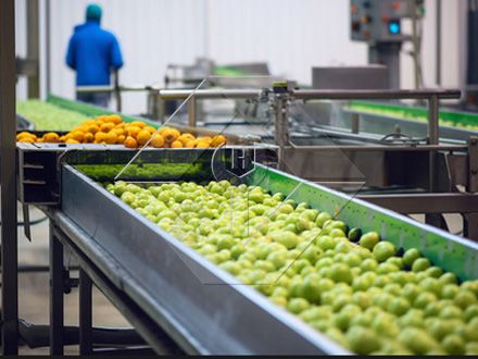 The Processing Capacity of Automatic Fruit and Vegetable Washing and Drying and Grading Line is Generally Between 300kg/H and 3000kg/H. The Processing Capacity of Automatic Fruit and Vegetable Washing and Drying and Grading Line is Generally Between 300kg/H and 3000kg/H.