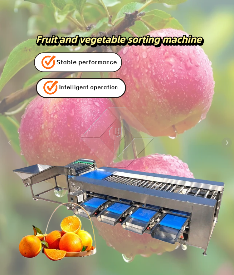 Vegetable/fruit Sorting Machine