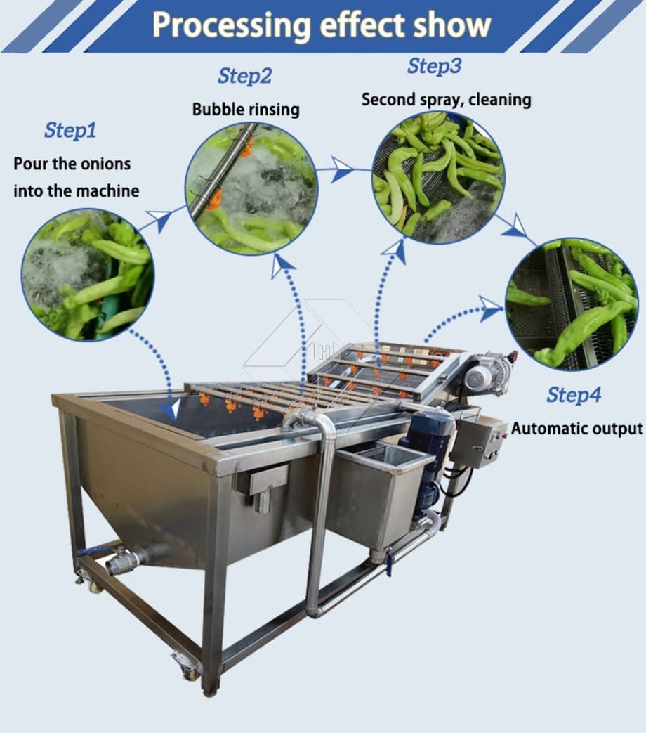 Fruit and Vegetable Washer Conveyor | Bubble Washing Machine for Efficient Produce Cleaning