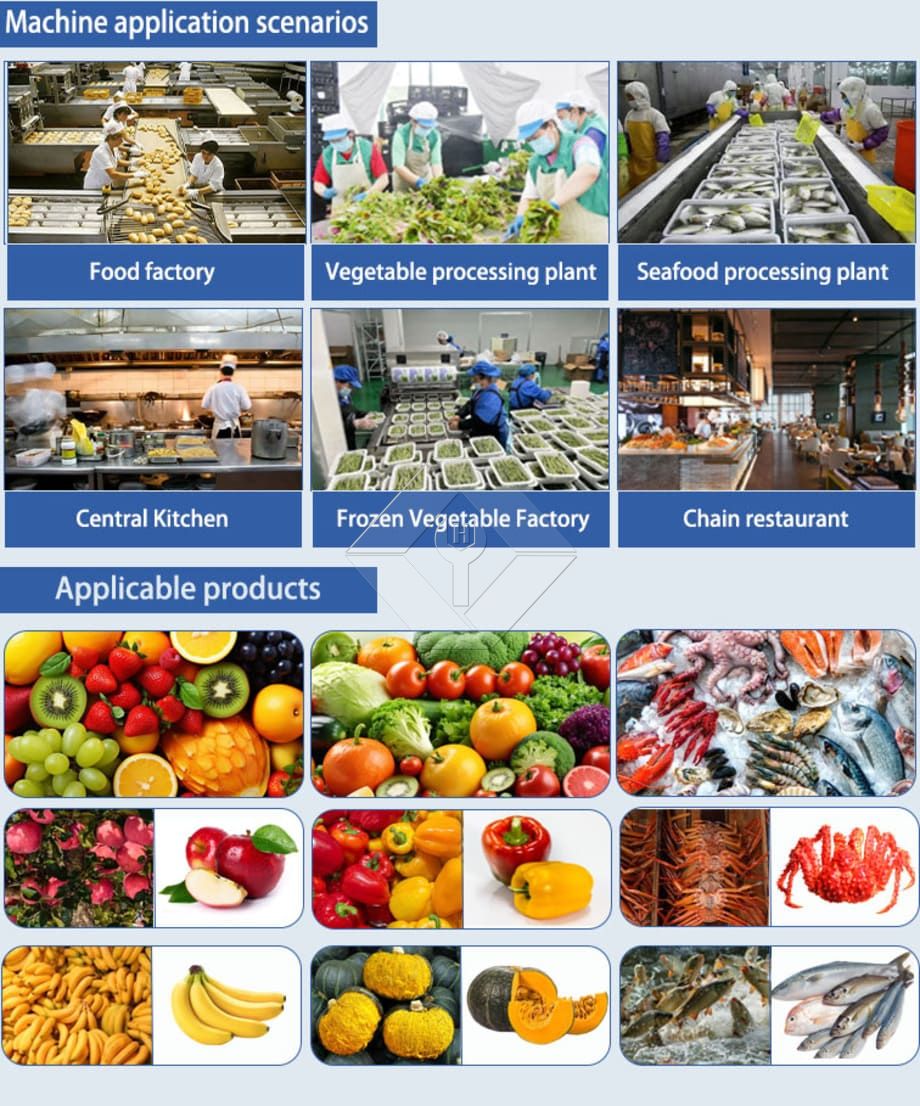 Fruit and Vegetable Washer Conveyor | Bubble Washing Machine for Efficient Produce Cleaning