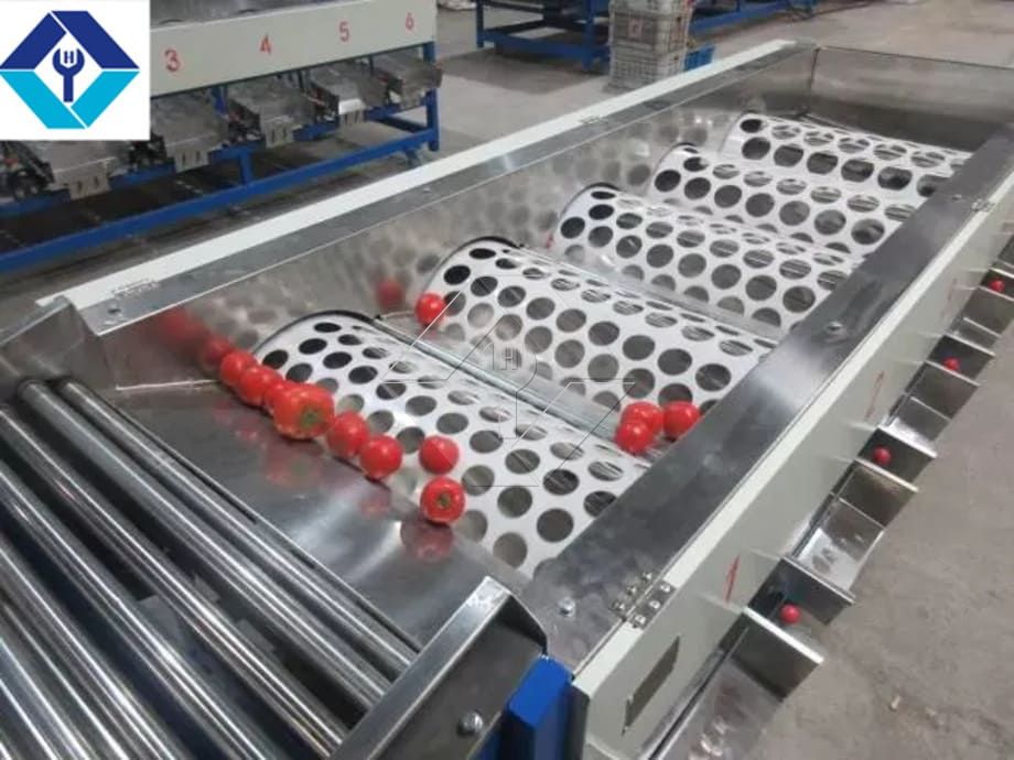 The Processing Capacity of Automatic Fruit and Vegetable Washing and Drying and Grading Line is Generally Between 300kg/H and 3000kg/H. The Processing Capacity of Automatic Fruit and Vegetable Washing and Drying and Grading Line is Generally Between 300kg/H and 3000kg/H.